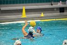 WWPolo vs CC  Wheaton College Women’s Water Polo compete in their sports inaugural match vs Connecticut College. - Photo By: KEITH NORDSTROM : Wheaton, water polo, inaugural